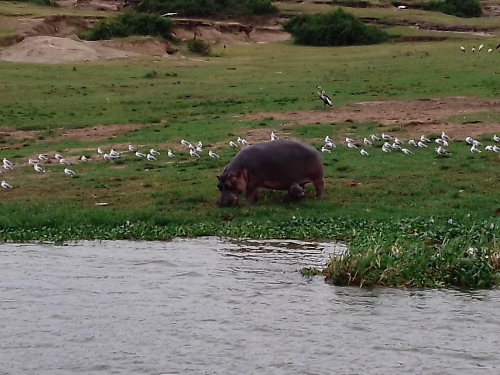 Environmentalists Ask Gov’t to avail more funds to&nbsp;NEMA