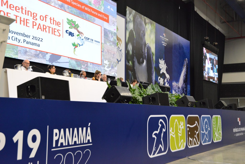 CITES set to regulate record number of&nbsp;species