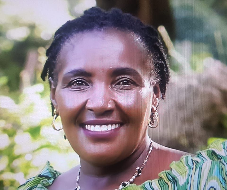 Climate expert asks African gov’ts to integrate mental health in climate interventions