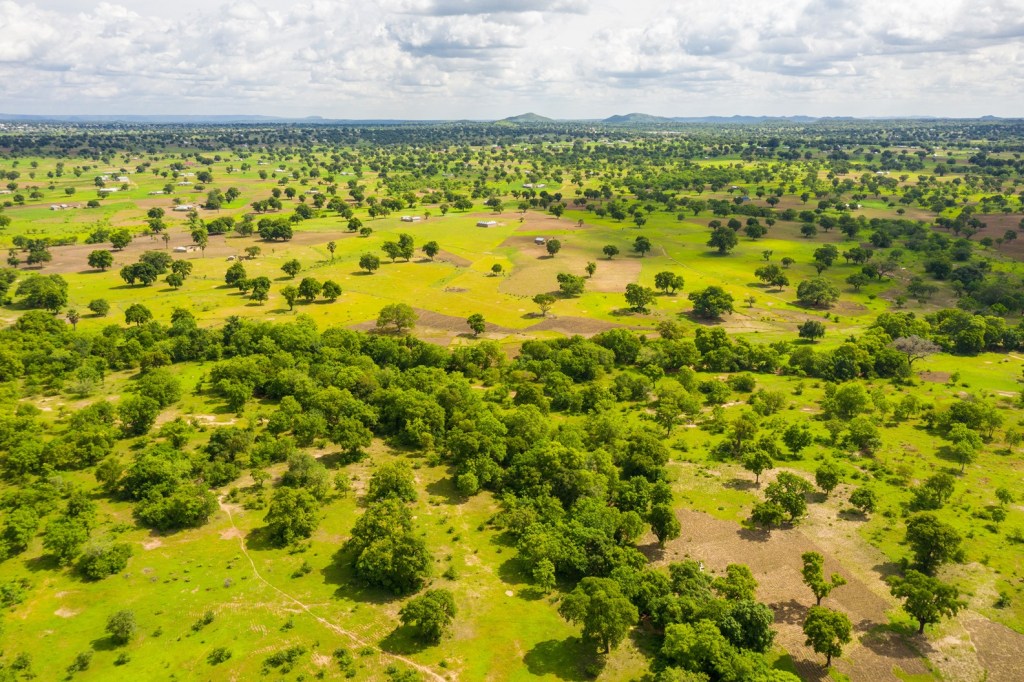 Why the new Global Biodiversity Framework matters – and what’s at stake in the Montreal&nbsp;talks