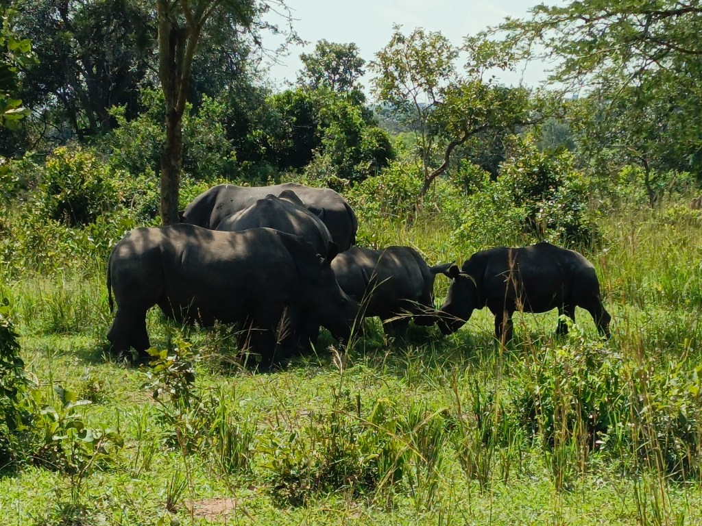 UK envoy commends UWA for Rhino&nbsp;conservation